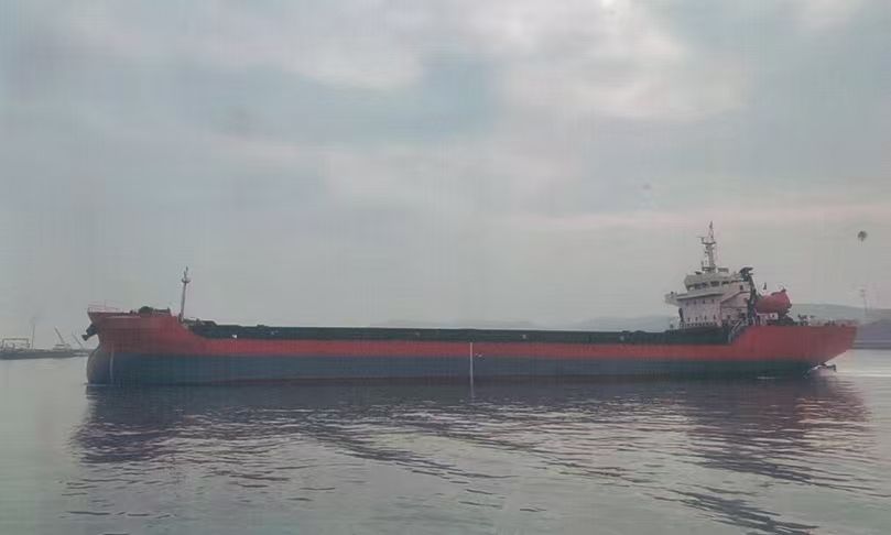 2017年-9000t-散货船