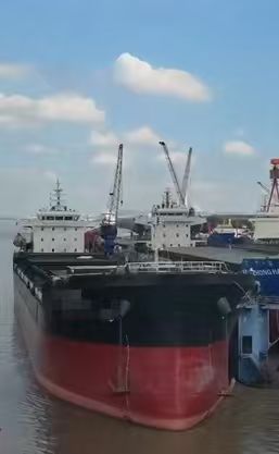 2021-16100T-散货船